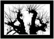 Максим Горбулин фотография #41 (источник - https://vk.com/id134638)