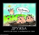 Інна Шевчук фотография #40 (источник - https://vk.com/id92127200)