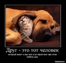 Інна Шевчук фотография #30 (источник - https://vk.com/id92127200)