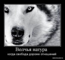 Інна Шевчук фотография #25 (источник - https://vk.com/id92127200)