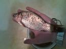 Іван Усков фотография #27 (источник - https://vk.com/id25965293)