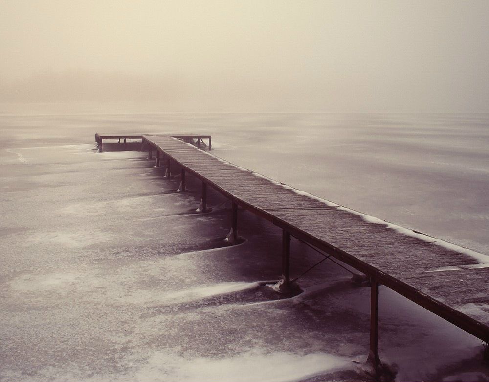 Сергей Шутко фотография #49