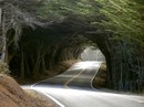 Yüksel Travego фотография #31 (источник - https://vk.com/id159721010)