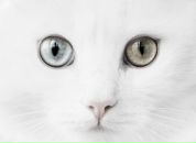 Фотография Бардакова Игоря