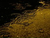 Can Bakar фотография #2 (источник - https://vk.com/id108115560)