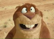 Сергей Ермолаев фотография #4 (источник - https://vk.com/id483627)