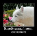 Віталік Скопик фотография #17 (источник - https://vk.com/id27872894)
