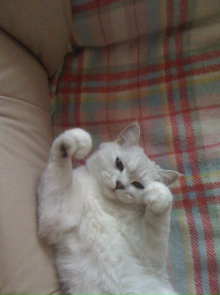 №8, Дмитрий Тихонов, Москва, Россия №8, Дмитрий Тихонов, Москва, Россия