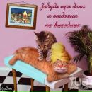 Інна Шумило фотография #40 (источник - https://vk.com/id24060710)