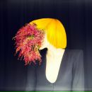 Фотография Тише Тише