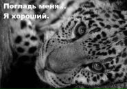 Фотография Сакалаускас Александры