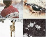 Ліда Геба фотография #46 (источник - https://vk.com/id100212689)