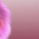 Олеся Вуйців фотография #33 (источник - https://vk.com/id74029763)