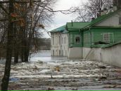 Дмитрий Варава фотография #29 (источник - https://vk.com/id13950972)