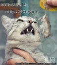 Коля Лебідь фотография #29 (источник - https://vk.com/id163064058)
