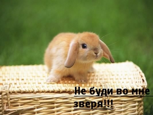 №20, Алина Михайлова №20, Алина Михайлова