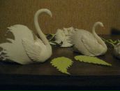 Лєнуля Тарасюк фотография #18 (источник - https://vk.com/id21858758)