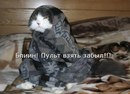 Катюся Іванчук фотография #17 (источник - https://vk.com/id152028368)