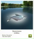 Андрій Качмарчик фотография #46 (источник - https://vk.com/id112012976)