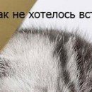 Діма Біжик фотография #26 (источник - https://vk.com/id141798699)