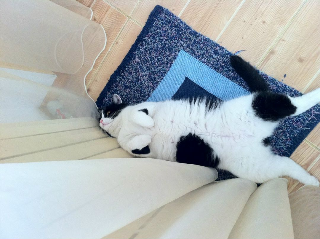 Александр Елетин фотография #11