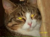 Фотография Лахминой Марии