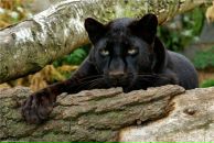 Фотография Паутовой Евгении