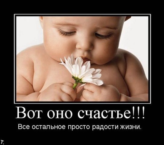 №8, Владимир Гречишкин, 43 года №8, Владимир Гречишкин, 43 года