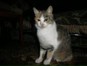 Владислав Розторгуєв фотография #26 (источник - https://vk.com/id59074432)