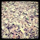 Виктор B фотография #37 (источник - https://vk.com/id1739100)