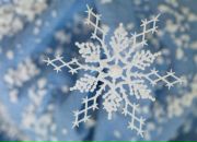 Аліна Деревенських фотография #12 (источник - https://vk.com/id15281970)