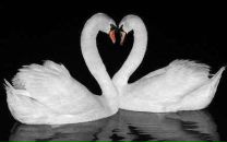 Марія Кіх фотография #26 (источник - https://vk.com/id89305594)