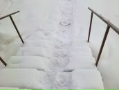 Андрей Камаев фотография #13 (источник - https://vk.com/id2346810)