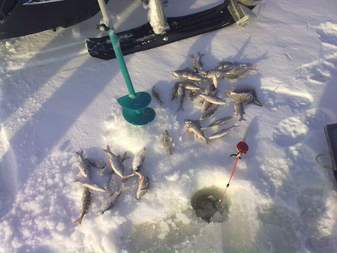 Диман Минаков фотография #50