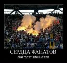 Фотография Гралова Рустема