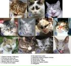 Фотография Грязина Кости