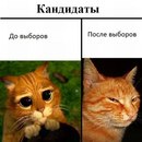 Павлік Михальчук фотография #19 (источник - https://vk.com/id135776582)