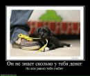 Ігор Валівоць фотография #26 (источник - https://vk.com/id162521681)