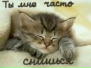 Фотография Белова Максима