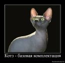 Фотография Жалниной Наталии
