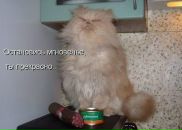 Дмитрий Недбайло фотография #28 (источник - https://vk.com/id1300758)