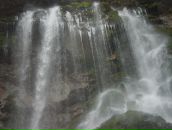 Николай Лещенко фотография #37 (источник - https://vk.com/id248869)