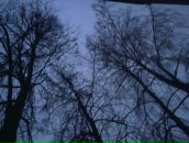 Фотография Рудзянко Дашульки