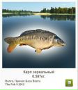 Міша Плекан фотография #24 (источник - https://vk.com/id26781355)