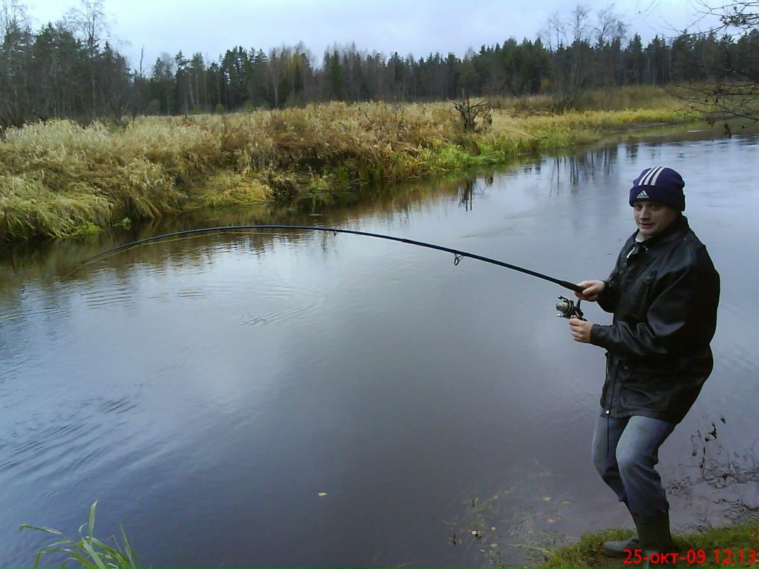 Дмитрий Марков фотография #48