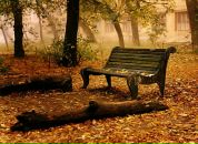 Фотография Соколовой Анны