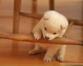 Фотография Алексеевой Анны