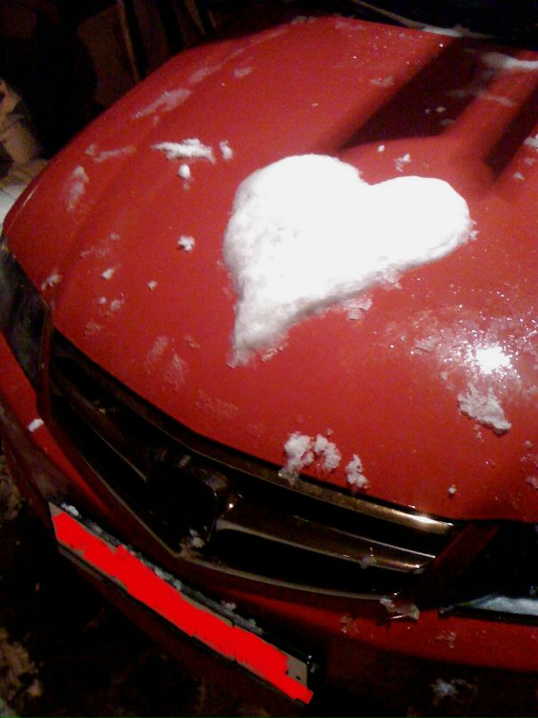 Sergey Pavlenko фотография #27