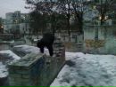 Андрік Тимосевич фотография #14 (источник - https://vk.com/id136290573)