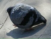 Фотография Бурловой Людмилы